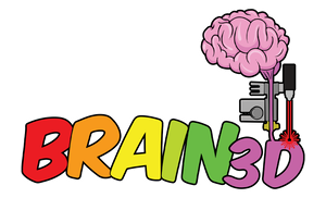 Brain3D